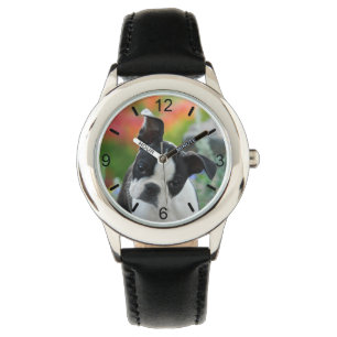 Boston-Terrier-Hundeniedliche Armbanduhr