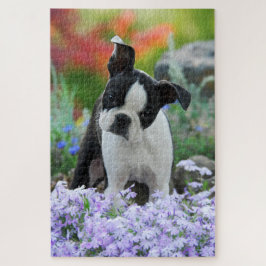 Boston-Terrier-Hundeniedlicher