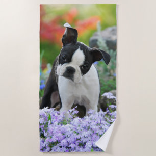 Boston-Terrier-Hundeniedlicher Strandtuch