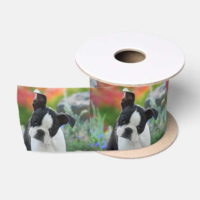 Boston-Terrier-Hundeniedliches Satinband (Spule)