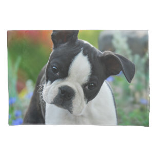 Boston-Terrier-Hundeniedliches Welpen-Foto - Kissenbezug