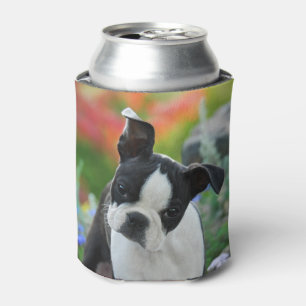 Boston-Terrier-Hundeniedliches Welpen-Porträt Dosenkühler