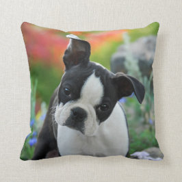 Boston-Terrier-Hundeniedliches Welpen-Porträt, Kissen