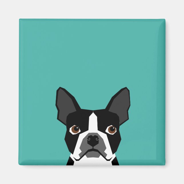 Boston Terrier Hundeschmagnet Magnet (Vorne)