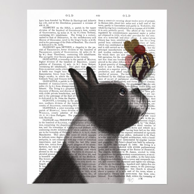 Boston Terrier Ice Cream Poster (Vorne)