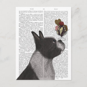 Boston Terrier Ice Cream Postkarte