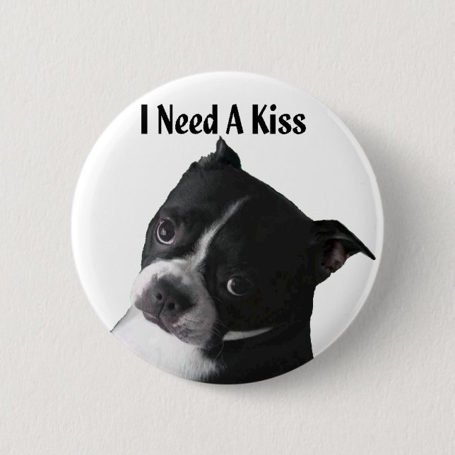 Boston Terrier:  Ich benötige einen Kuss Button (Vorderseite)