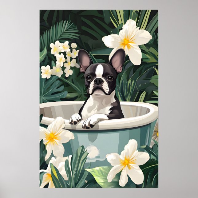 Boston Terrier In Bathtub Poster, Funny Dog Poster (Vorne)