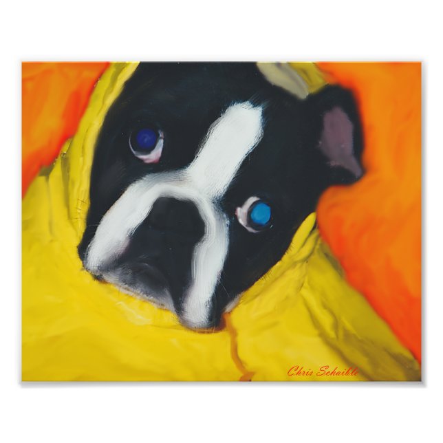 Boston Terrier in einem gelben Regenmantel Fotodruck (Vorne)