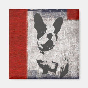 Boston Terrier in Schwarz und Weiß mit roter Grenz Magnet