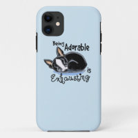 Boston Terrier ist bezaubernd