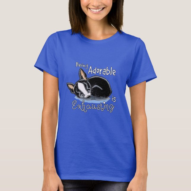 Boston Terrier ist bezaubernd T-Shirt (Vorderseite)