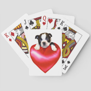 Boston Terrier jeu de cartes