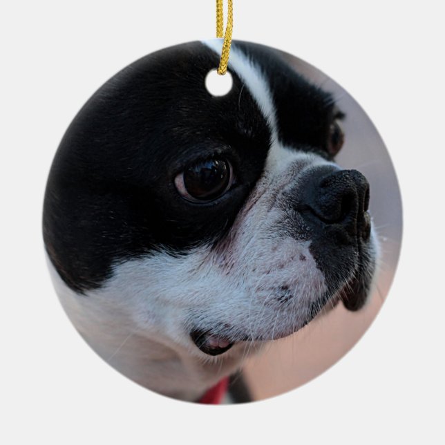 Boston-Terrier Keramik Ornament (Vorne)