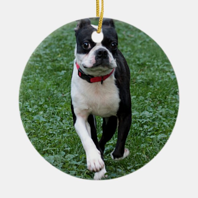 Boston-Terrier Keramikornament (Vorne)