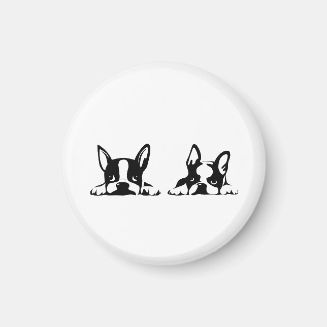 BOSTON TERRIER KOTARO & TEN TEN MAGNET (Vorne)