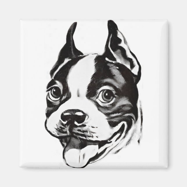 Boston Terrier Magnet (Vorne)