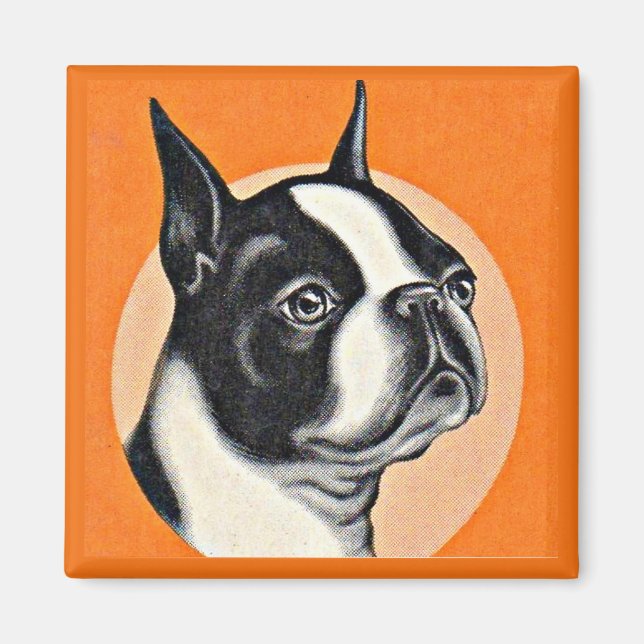 Boston Terrier Magnet (Vorne)