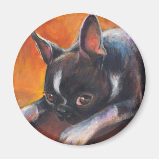 Boston Terrier Malhund Svetlana Novikova Magnet