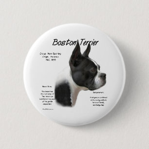 Boston Terrier Meet Breed - Button