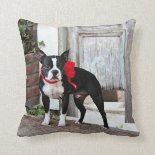 Boston Terrier - Meilen Kissen