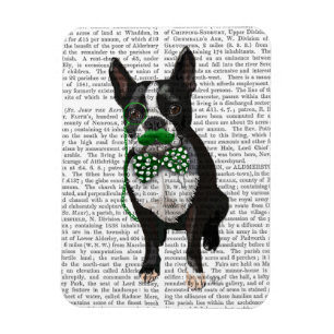 Boston Terrier mit grünem Mustache und Spott Magnet
