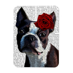 Boston Terrier mit Rose auf Head Magnet