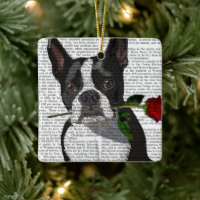 Boston Terrier mit Rose im Mund