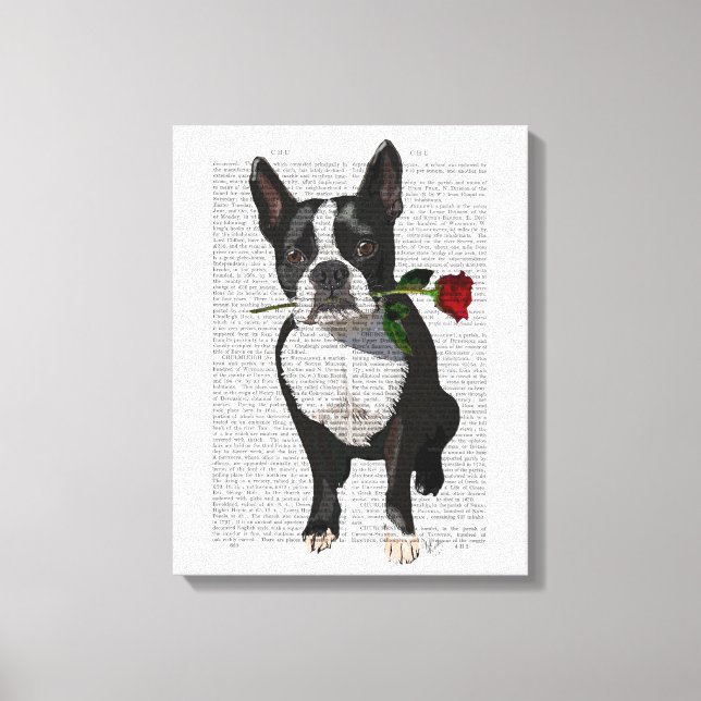 Boston Terrier mit Rose im Mund Leinwanddruck (Vorderseite)