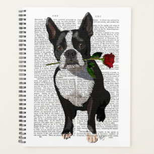 Boston Terrier mit Rose im Mund Planer