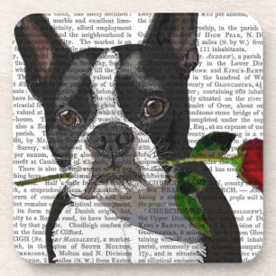Boston Terrier mit Rose in Mouth Getränkeuntersetzer