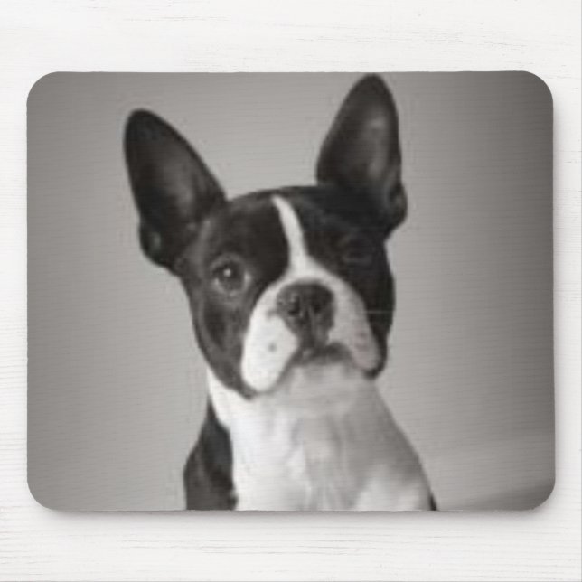 Boston Terrier Mousepad (Vorne)