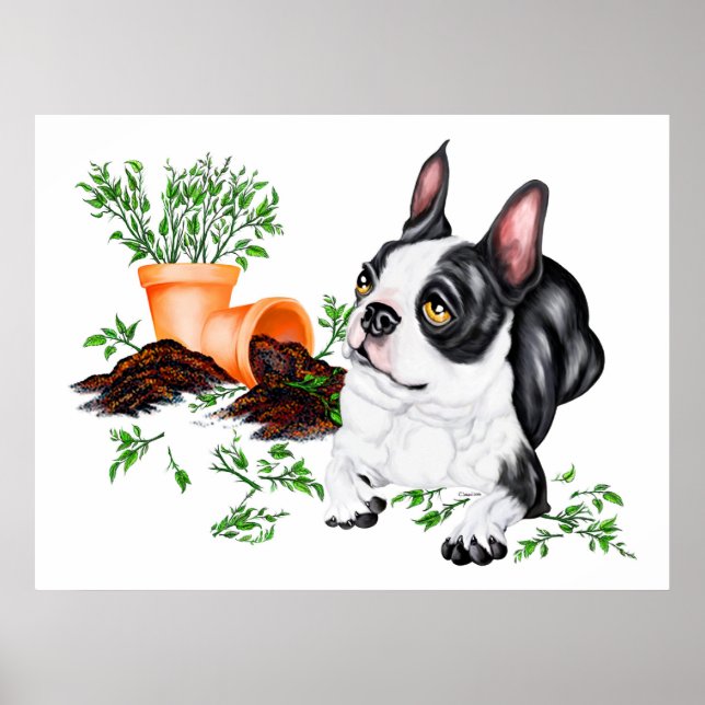 Boston Terrier Naughty Pup Poster (Vorne)
