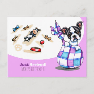 Boston Terrier New Puppy Social Postkarte
