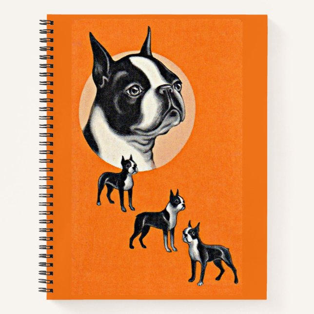 Boston Terrier Notizbuch (Vorderseite)