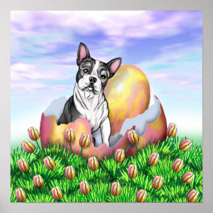 Boston Terrier Osterüberraschungspposter Poster