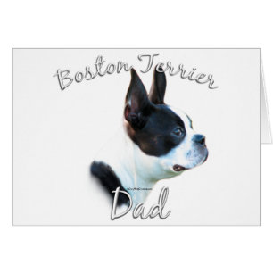 Boston Terrier Papa 2