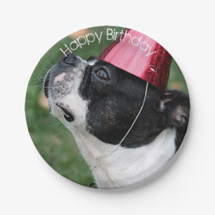 Boston Terrier Pappteller
