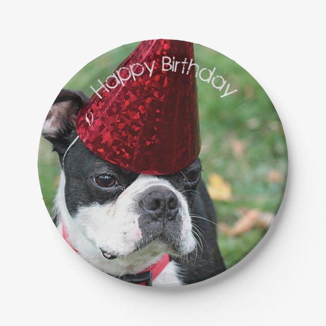 Boston Terrier Pappteller (Vorderseite)