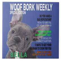 Boston Terrier Parody Magazine Cover