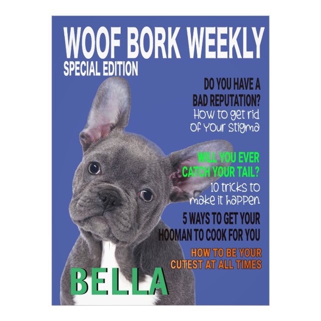 Boston Terrier Parody Magazine Cover Fotodruck (Vorne)