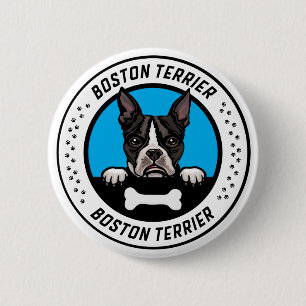 Boston Terrier Peeking Illustration Abzeichen Button