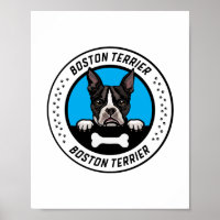 Boston Terrier Peeking Illustration Abzeichen