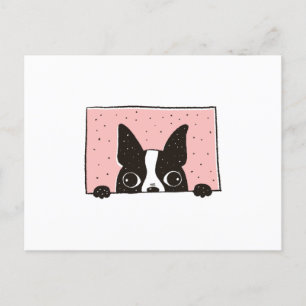 Boston Terrier Peeking Postkarte