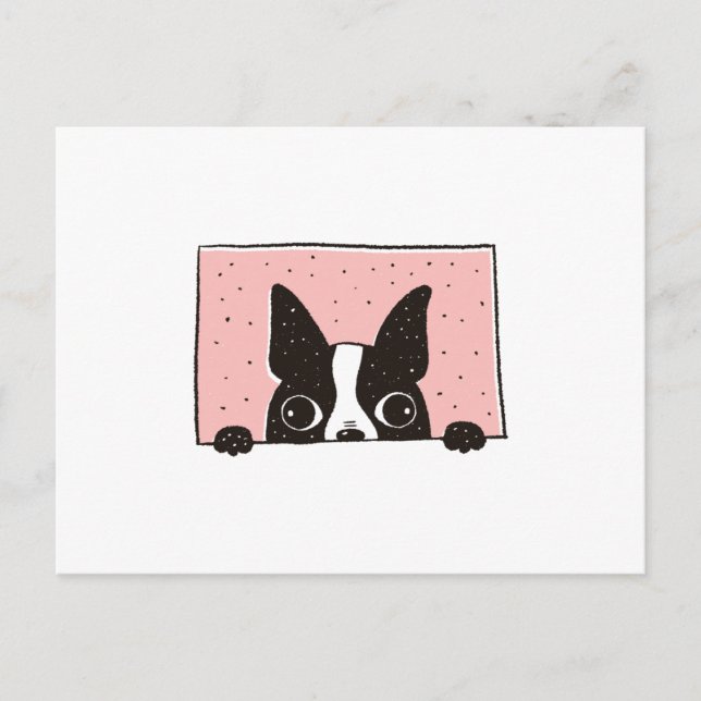 Boston Terrier Peeking Postkarte (Vorderseite)