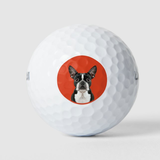 Boston Terrier Pet Theme Golfball (Vorderseite)