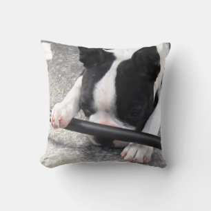 Boston Terrier Pillow Kissen