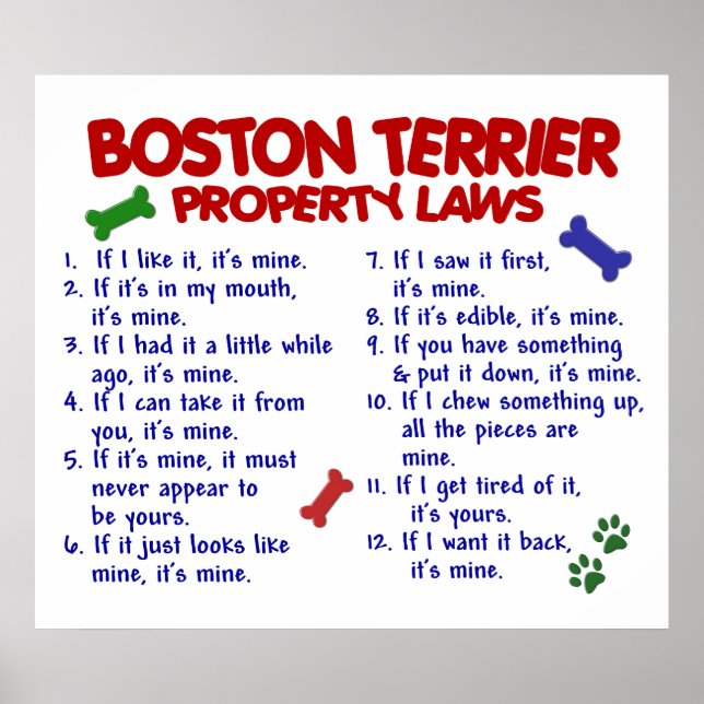 BOSTON TERRIER PL2 POSTER (Vorne)