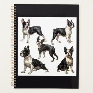 Boston Terrier Planer
