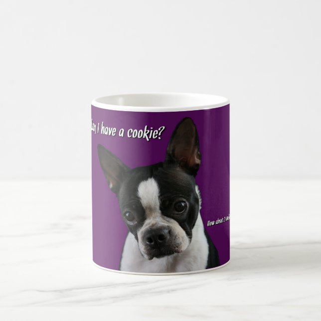 Boston Terrier:  Plätzchen bitte? Kaffeetasse (Mittel)